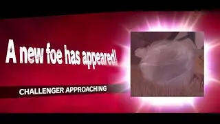 A new foe has appeared!