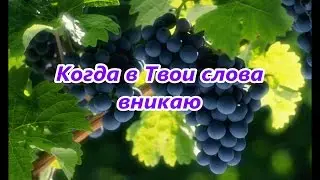 ФОНОГРАММА Когда в Твои слова вникаю