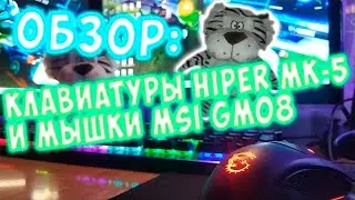 ОБЗОР КЛАВИАТУРЫ HIPER MK-5 PULSE И МЫШКИ MSI CLUTCH GM08