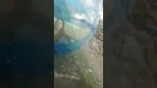 Dying in Prague - Inflatable giant ball