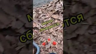 Мечты сбываются 🎉 