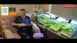 Подводный мир в домашних условиях. Общаемся. Вопросы и ответы.
