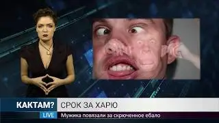 КАКТАМ? Хуёвое лето #3