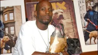 DMX - Fuck Y'All (Subtitulada en Español)