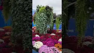 Куршавель и Магадан в Лужниках. Москва сегодня.