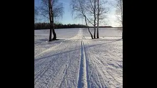 Молочная лыжная гонка ГТО-клуба в Снегирях