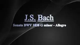 J.S. Bach Sonata BWV 1020 G minor - Allegro