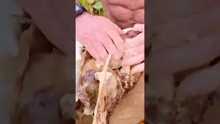 Would you eat this?