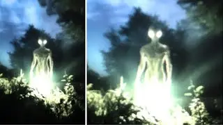 This Researcher Just Made A Terrifying Discovery In The Amazon Jungle