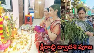 పండగపూట ఒంట్లో బాలేదు husband అన్ని sudden గానే చెప్తారు క్షీరబ్ది ద్వాదశి పూజ చేసుకున్నాం #vlog