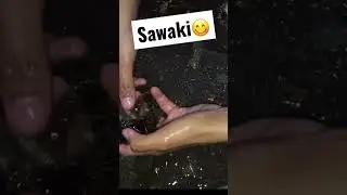 #seafood #trendingshorts #shortvideo