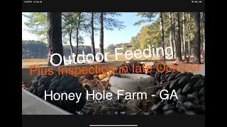 Beekeeping:  Outdoor Feeding in Fall