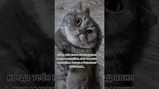 Абида😅😅😅#рекомендации