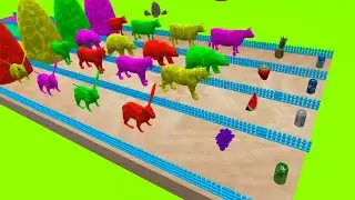 Fountain Crossing With Cow Rabbit Tiger Bear | Fountain Crossing Animal Transformation | Wild Animal