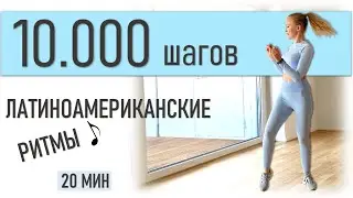 10000 ШАГОВ ДОМА! Кардио тренировка в стиле ЛАТИНА.