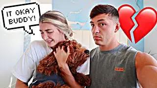 Our Dog Had To Get Surgery
