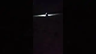 стелс сузуки турбина субару