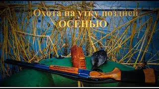 Охота на утку осенью//Duck hunting in autumn.