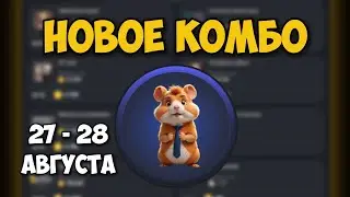Новые КОМБО КАРТЫ в Хамстер Комбат 27 - 28 августа! КАК ПОЛУЧИТЬ МОНЕТЫ В HAMSTER KOMBAT!