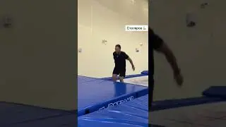 СТОЛЯРОВ VS СТЕПАНОВ - ПЕРЕПРЫГНИ БАТУТ 😱
