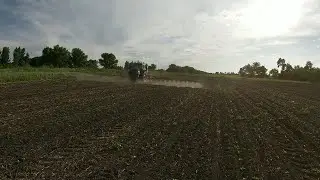 Обприскування соняшнику ЕС Саксон від компанії Еліта Селект гербіцид Альфа Стар в нормі 35 грам/га