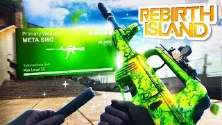 the LAPA is META on REBIRTH ISLAND! 🔥 (Best LAPA Class Setup)