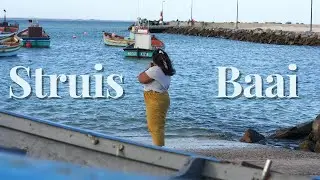 WELCOME TO STRUISBAAI & CAPE AGULHAS, SOUTH AFRICA