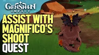 Assist with Magnifico's shoot Genshin Impact
