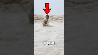 Опасная Морская Пена! 🤯