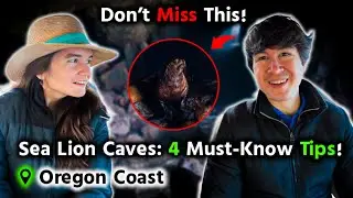 Sea Lion Caves - Oregon Coast: 4 Essential Tips for Your Visit