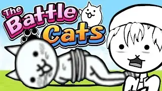 1,000,000 EXP and BONDAGE CAT | The Battle Cats (Part 8) | Gameplay, Reaction, Update 5.9.1