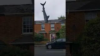 Shark Getaway!