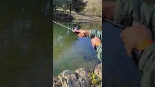 Late season Murray cod. #fishing #murraycod #4x4