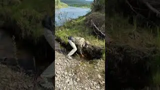 Поймал рыбу голыми руками
