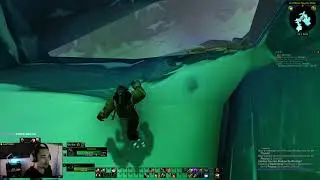 Cosidius 2 - Melee Hunter forgets to dismiss pet