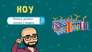 Membrana Plasmática: Estructura y función