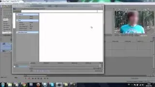 Schrift/Schilder/Logos zensieren (Sony Vegas Pro)