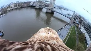 An Eagle's View of Tower Bridge by Sony Action Cam mini