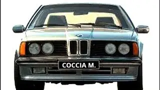 Incidente Marco Coccia : AMARSI UN PO'