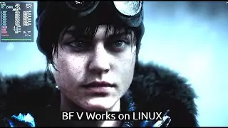 Budget 1080p BF V | Easy set up | Linux | 1060 6GB | 3500X | Linux Gaming