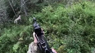ОХОТА НА МЕДВЕДЯ С ЛАЙКАМИ, ОТКРЫТИЕ СЕЗОНА!