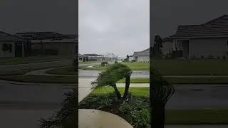 Hurricane Ian 445pm report