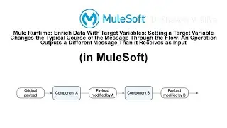 Mule Runtime: Enrich Data With Target Variables: (in MuleSoft)