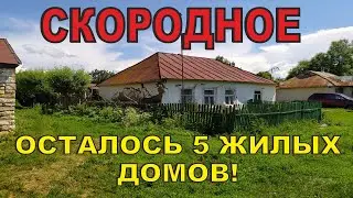 A club and a church were found in an abandoned village. Local residents recently discovered an an...