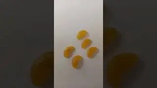 14 September 2023:  Mini oranges from garden  🍊🍊