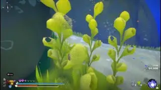 Another Crabs Treasure - Huge Xp Farm Spot (High Risk)