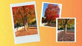 Fall in Our Community