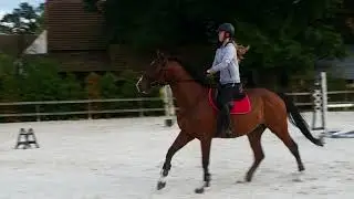 Eliot - showjumping training, 21.09.2017