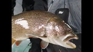 Scout Day - Looking for Whities and Lakers on Lake Simcoe