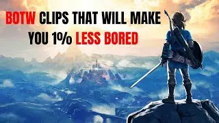 Breath of the Wild Clips That Will Make ou 1% Less Bored